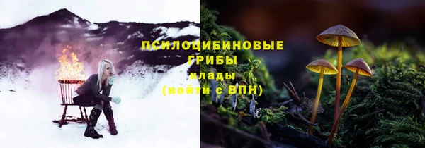 шишки Сосновоборск