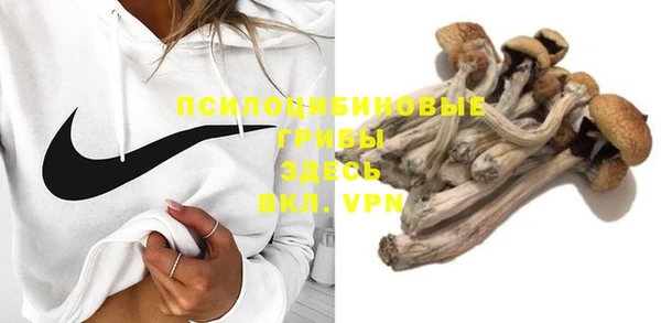 spice Медногорск