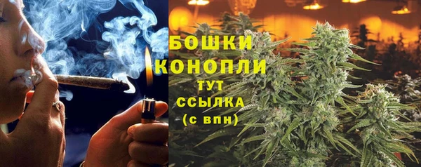 spice Медногорск