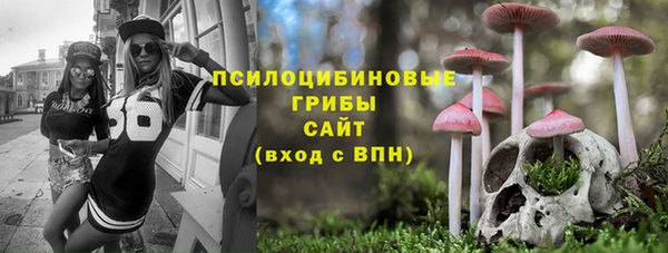 гашик Магас