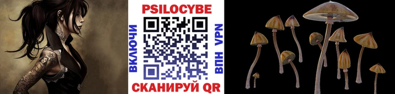 Галлюциногенные грибы GOLDEN TEACHER  МЕГА ССЫЛКА  Завитинск  это клад  где найти  